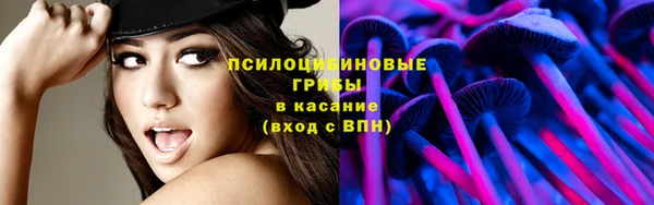 трава Алзамай