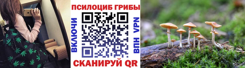 Галлюциногенные грибы прущие грибы кракен маркетплейс Черногорск